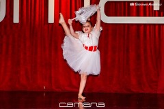 111IMG_9958