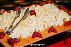 0393IMG_9883