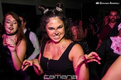 IMG_1187
