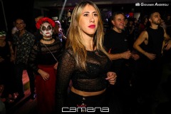 IMG_1226