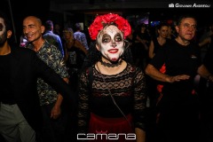 IMG_1274