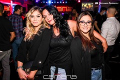 IMG_4241