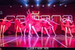 MG_5221