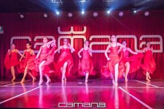 MG_5222