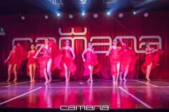 MG_5223