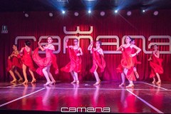 MG_5224