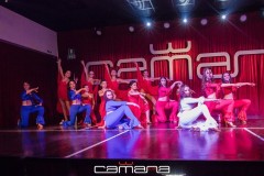 MG_5246