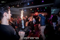 MG_0639