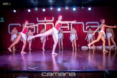MG_0986