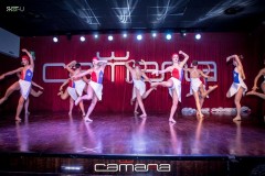 MG_0987
