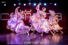 MG_1091