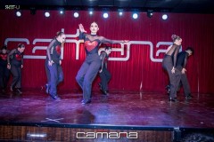 MG_1240