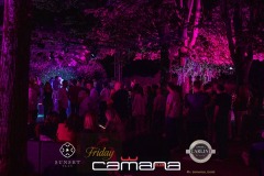 zz_IMG_0934