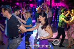 zz_IMG_0988